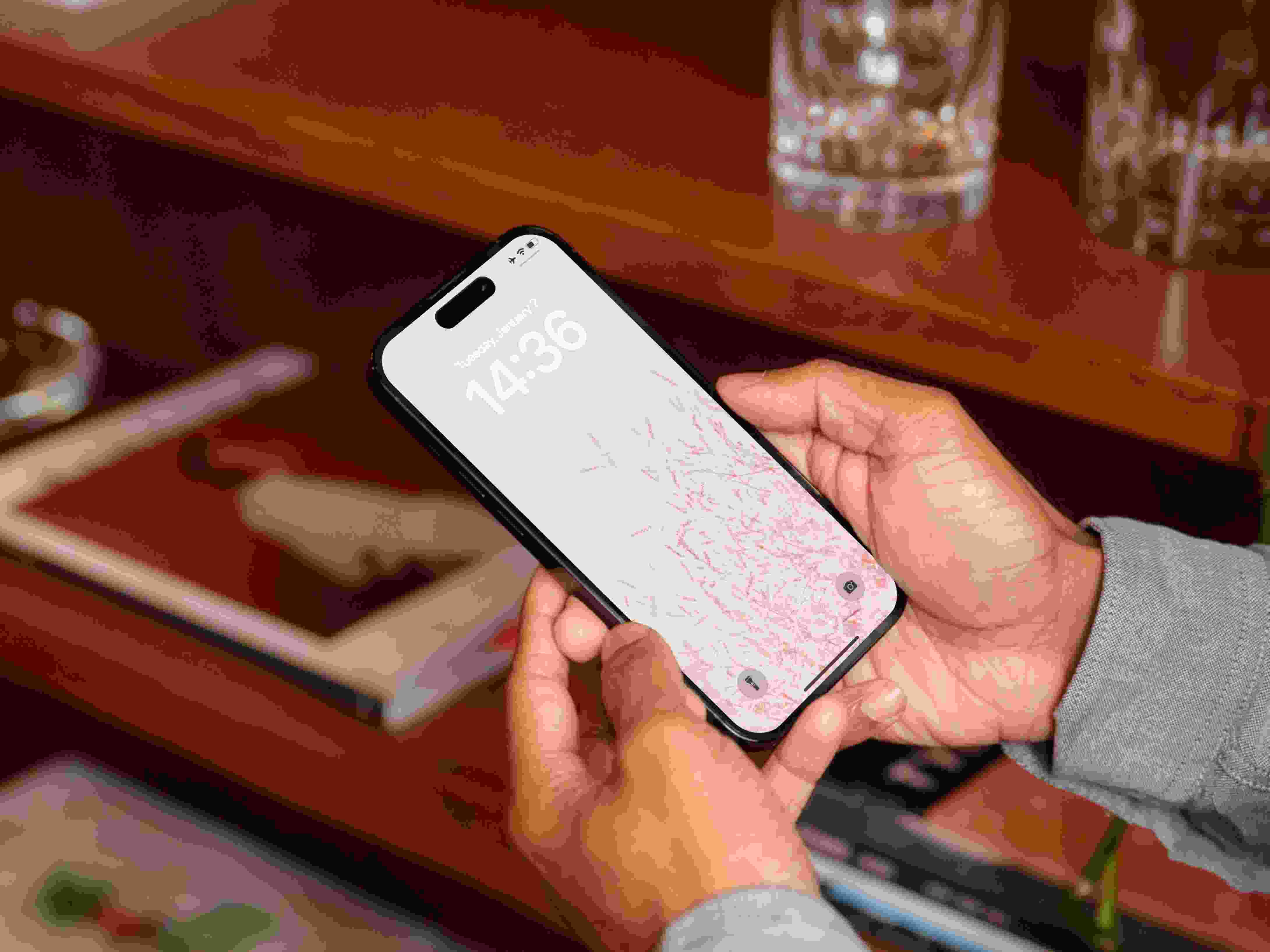 A Fresh Bouquet of Small Flower Mobile Wallpapers Download