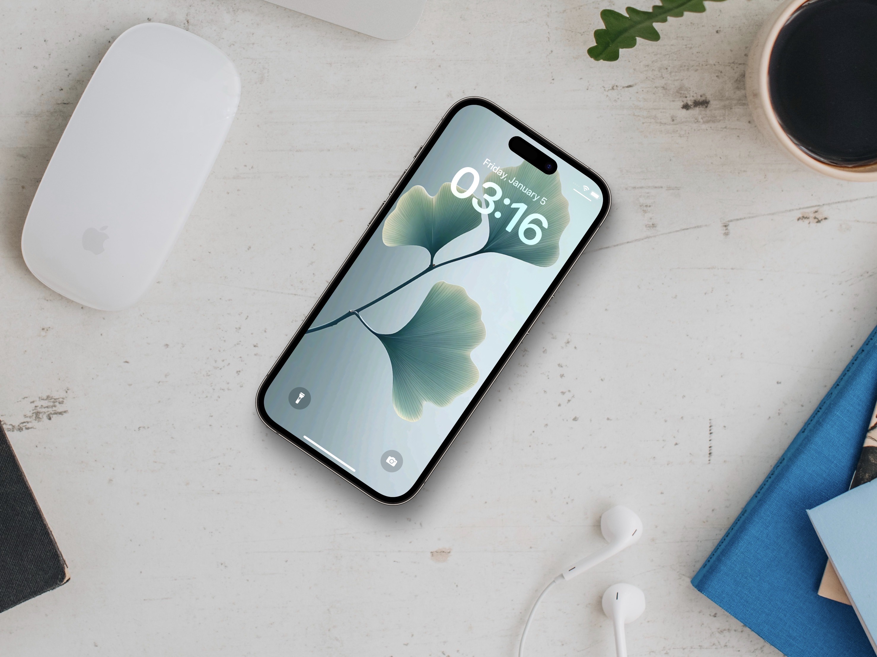 Minimalist Floral Illustration Wallpaper 4k Download