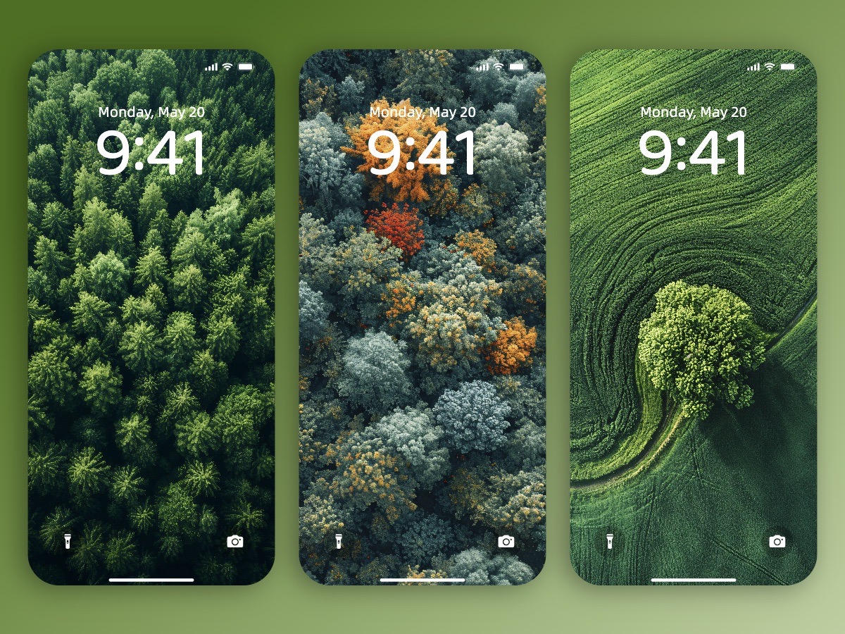 Download Forest from Above Wallpaper Background 8K for iPhone & Android