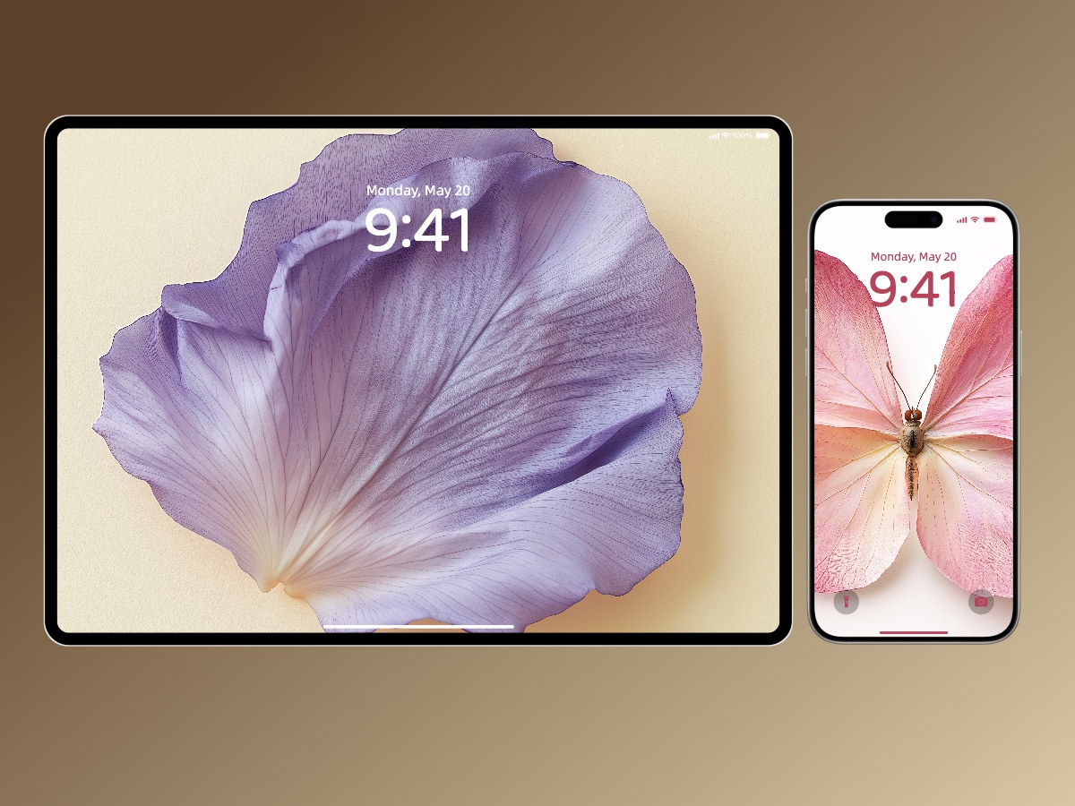 Download Beautiful Floral Petal Wallpapers 8K for iPhone & Android