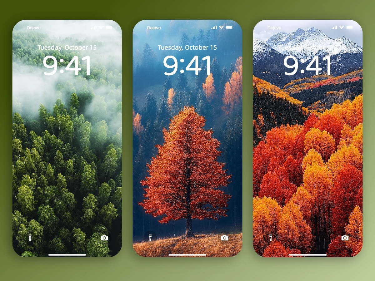 Download Fall Woods Wallpapers 8K for iPhone & Android