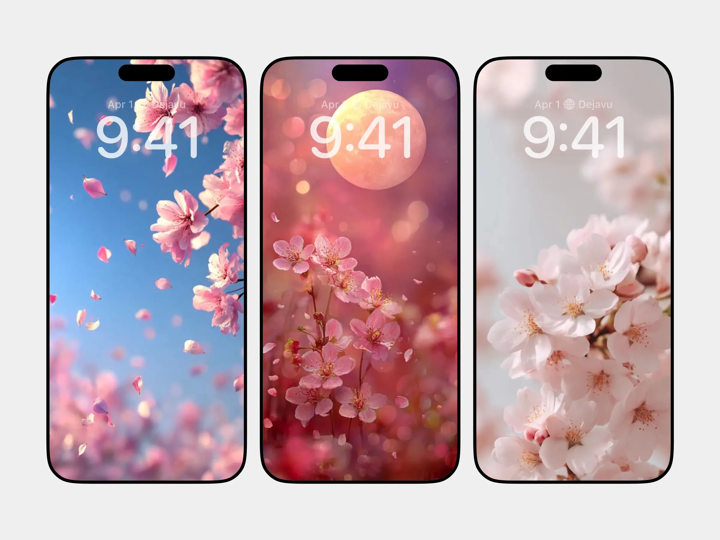 Cherry Blossom Poetry: Nature, Emotion, and the Beauty of Impermanence