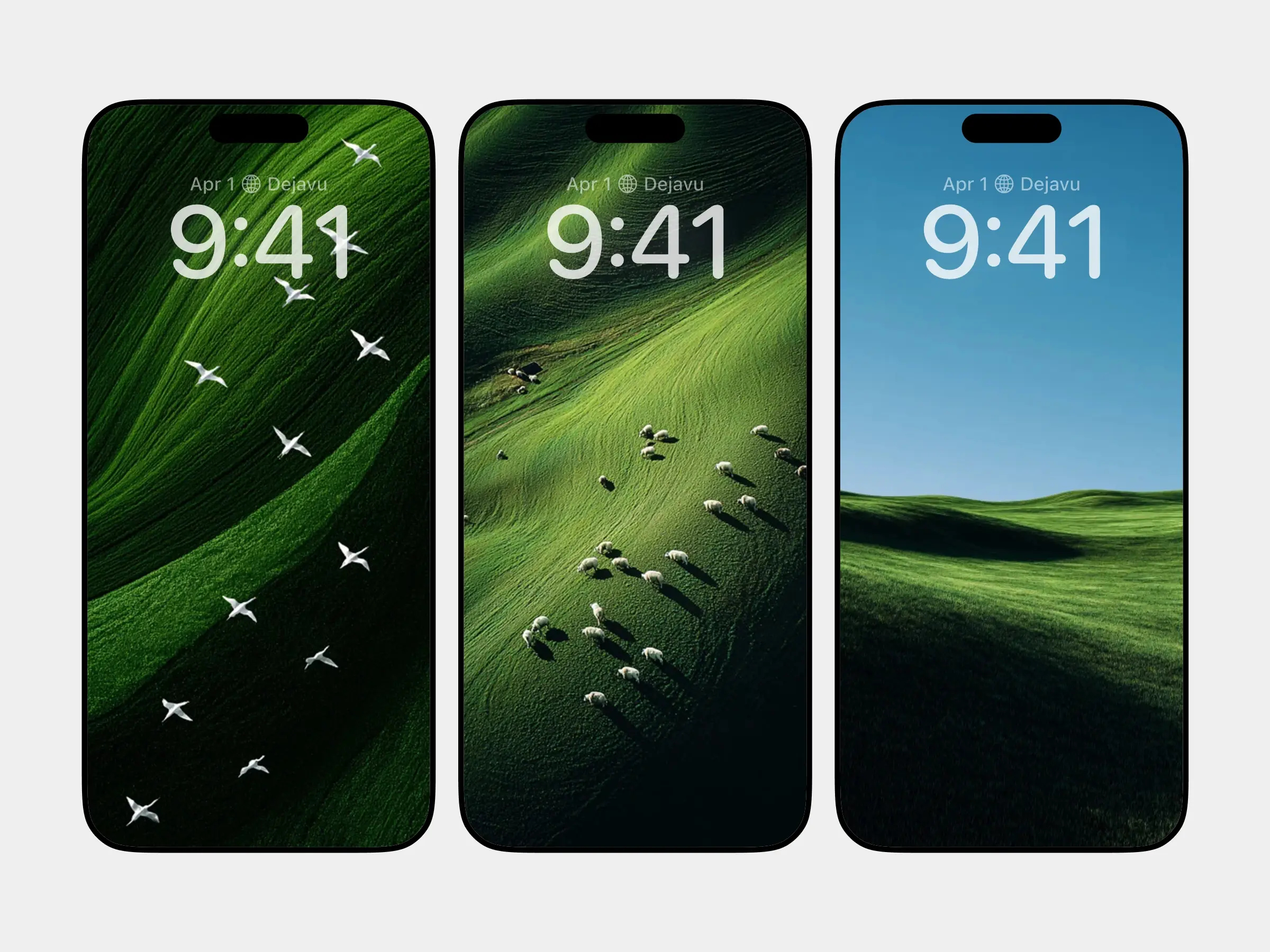 Green Earth and Solitary Journeys: A Serene Landscape Experience