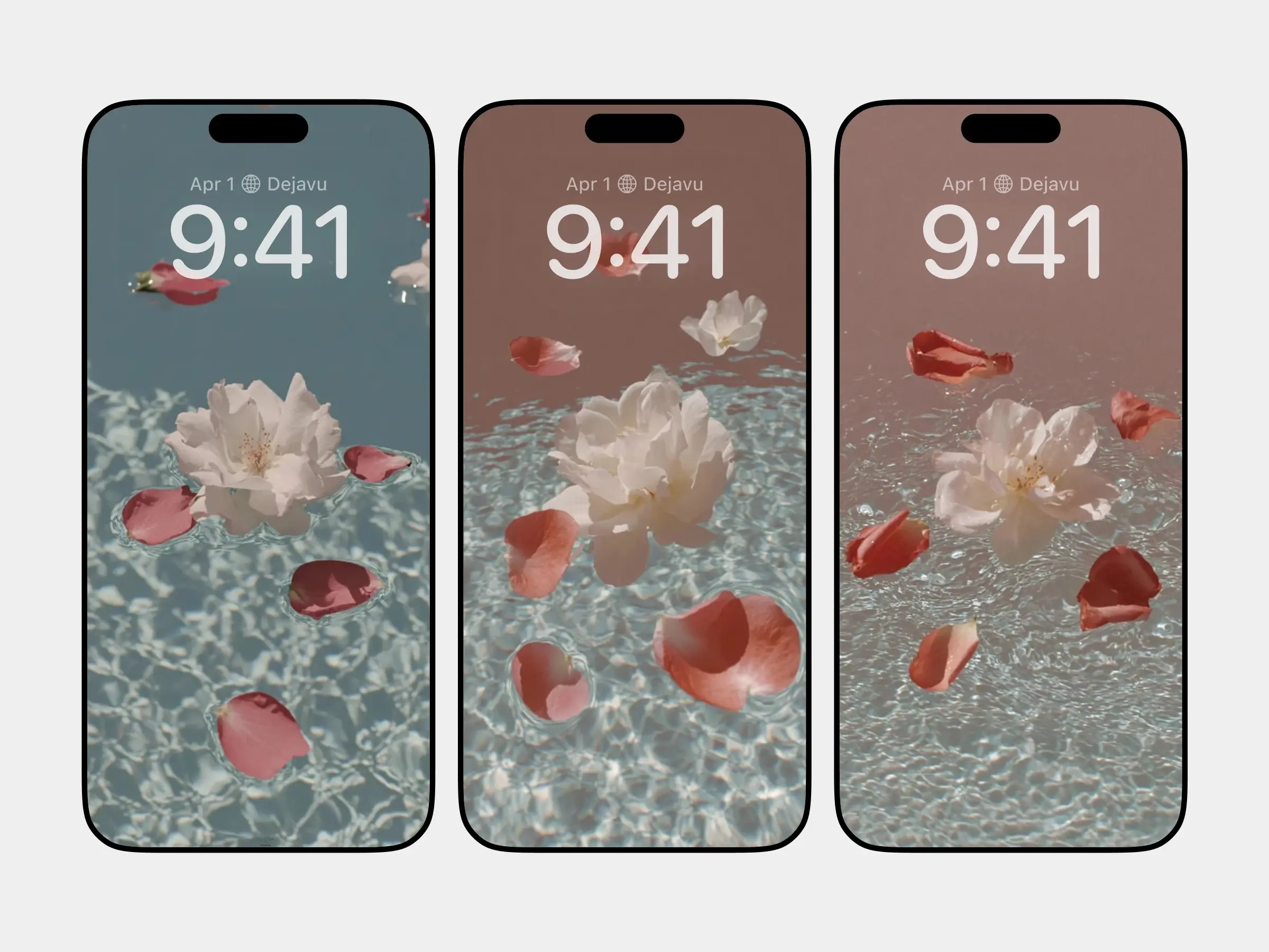 Ethereal Summer Roses on Shimmering Water